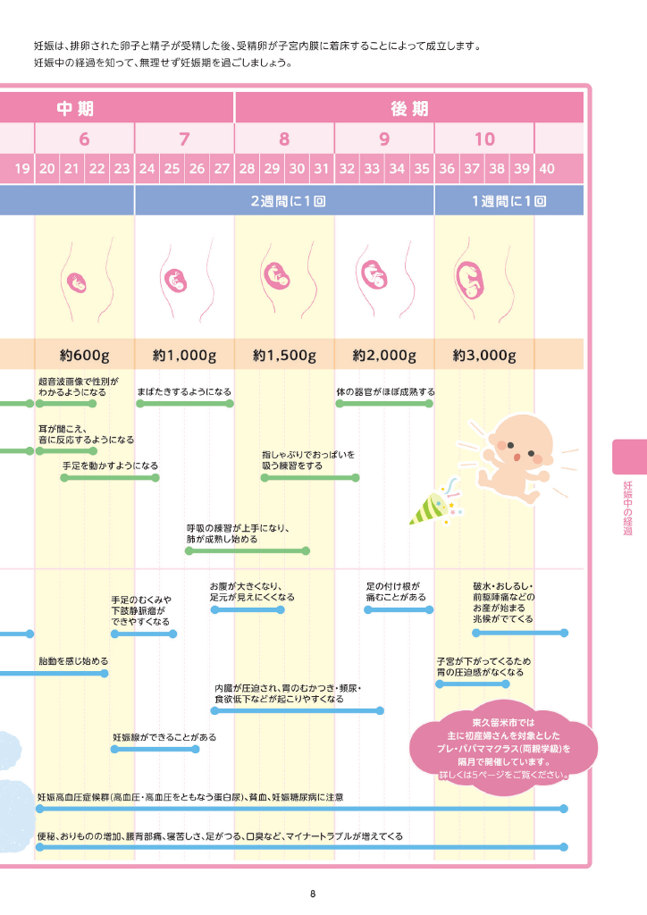東久留米市子育て便利帳 ページ10